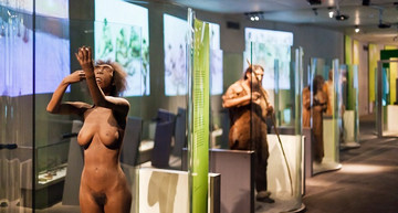 Neanderthal Museum Mettmann | © Neanderthal Museum, Knusperfarben