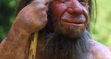 Neanderthal Museum Mettmann | © Neanderthal Museu, H. Neumann